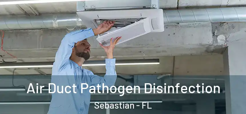  Air Duct Pathogen Disinfection Sebastian - FL
