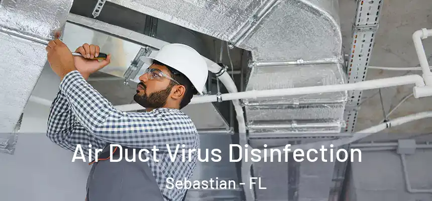 Air Duct Virus Disinfection Sebastian - FL